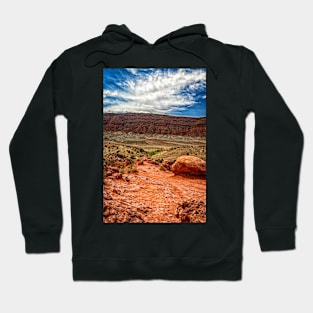 Arches National Park, Moab Utah Hoodie